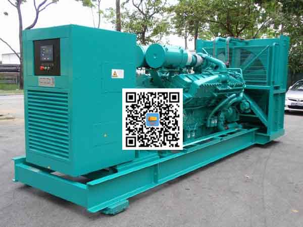 平阳租赁发电机-康明斯发电机性价比还是比较高的